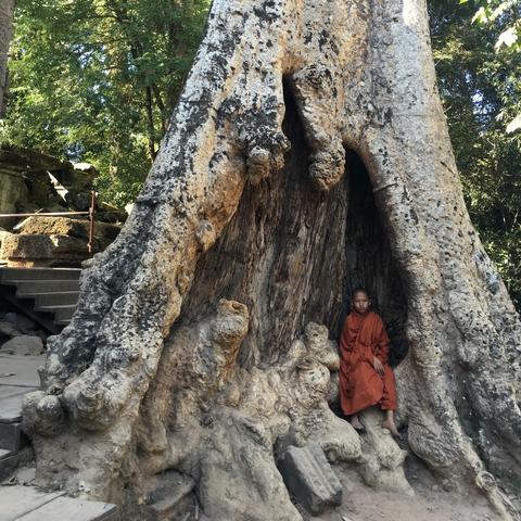 冬促狂欢！《贪婪大地》幸存者盛宴，超值折扣畅玩无忧