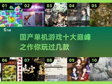 2025全国单机游戏排行榜出炉，哪些冷门神作碾压热门？玩家实测避坑清单