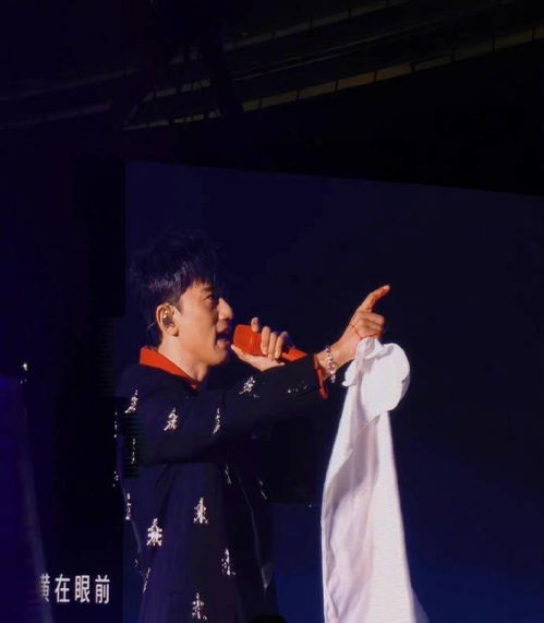 阿信演唱会惊险瞬间，舞台掉落揭秘新视角