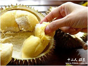 81万黄金榴莲上海一山姆热销，客服透露：暂未售出引关注