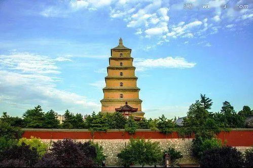 游客大雁塔照相被打？从游戏PVP规则看现实社交的安全边界