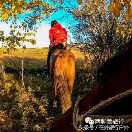 奔腾汽车惊现刹车失灵，狂飙490公里终停下，技师叹：罕见双失灵！