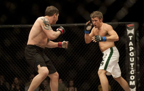 综合格斗电影里的玩家级细节，为什么有的打戏让你想摔手柄，有的却想立刻开练？