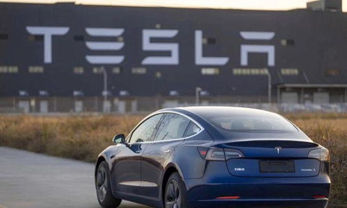 特斯拉Model Y坠崖奇迹：车主安然无恙，电池零起火，安全新标杆