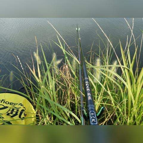 钓鱼游戏玩家必看，2025年这12款神作，为什么能让老钓友放下鱼竿？