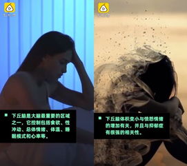 半数玩家女性沉默背后：隐私担忧成骚扰恐惧新痛点