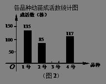 《识质存在》预售特惠，折上折惊喜价仅￥214.4，尊享品质新体验！
