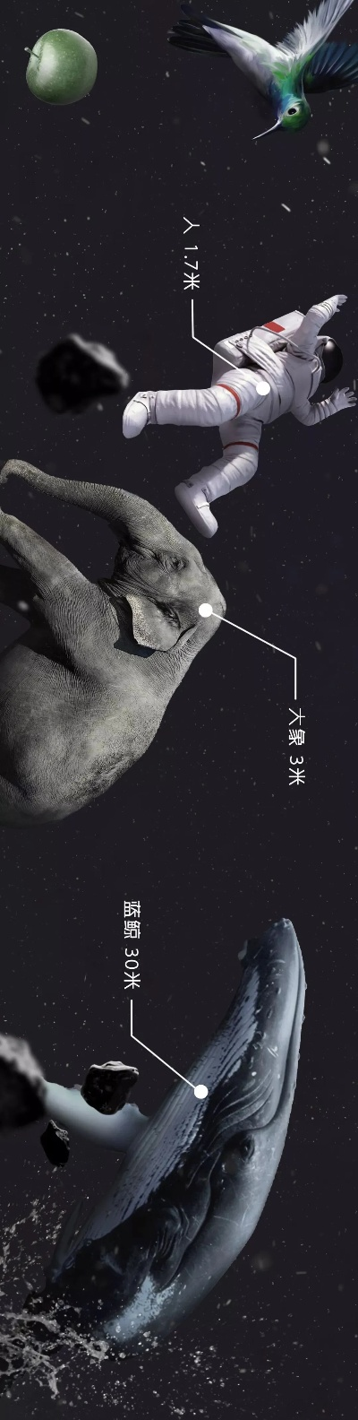 迷雾探险，鲸空翱翔：揭秘生存新境界