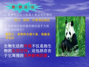 印度PM2.5超标15-20倍，动物呼吸危机加剧，环境警示录