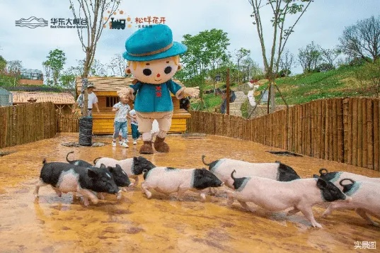 冬促狂欢！《金垦小镇》火车动物繁殖新玩法，限时折扣抢鲜体验