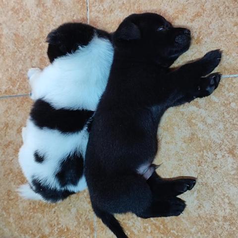 冒险类游戏藏着多少没说破的爽点？从3款神作拆解玩家最想要的沉浸式发疯