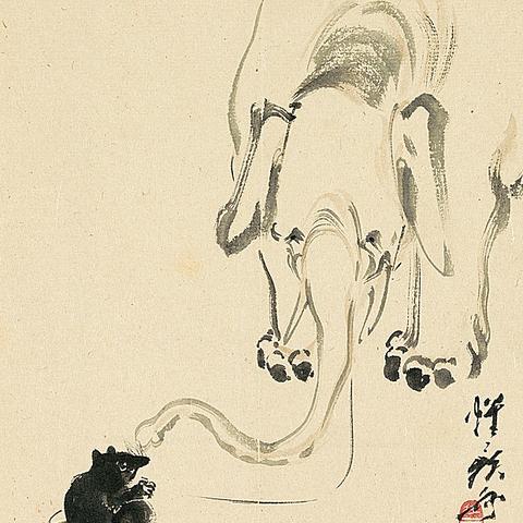 昆虫告别盛典：蟑蚊遗容诵经祭奠新生命