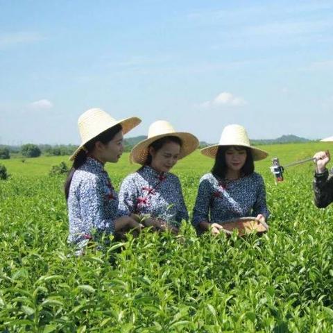 男子一条鱼卖37万？揭秘游戏里「虚拟水产」赚疯的3个隐藏逻辑