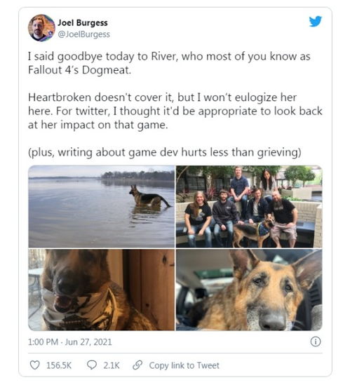 看门犬里被忽略的「数字幽灵法则」为什么你永远追不上Aiden的信息战思维？