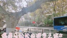 足浴贷新突破，灵视囧图揭秘变奇观