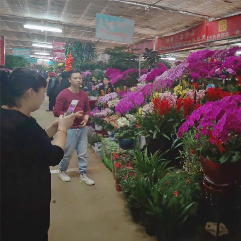 绝美花魁花房大揭秘，独家体验《完蛋美女2》Steam促销盛宴