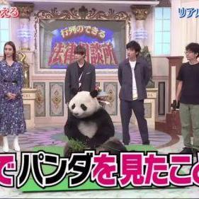 日本动物园奇招再现:游客体验“熊猫假面”互动新风尚 日本动物园奇招再现:游客体验“熊猫假面”互动新风尚