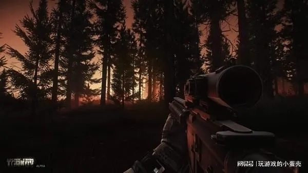 《塔科夫漏洞惊曝：账号安全堪忧，隐私守护刻不容缓》