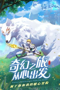 《丝之歌：探寻骑士之心的中立篇章》