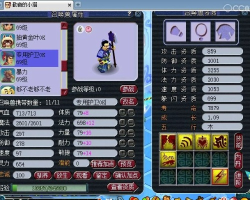 梦幻59（如何打造你的专属队伍）