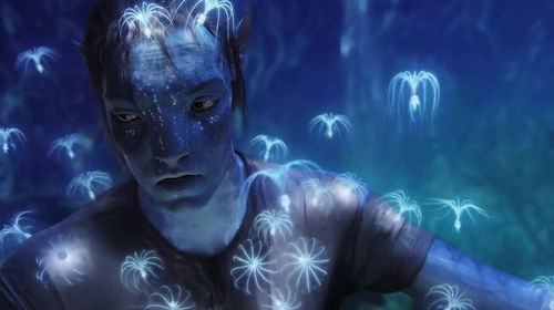 《阿凡达》票房破7.6亿，全球热映再创辉煌，口碑价值双丰收