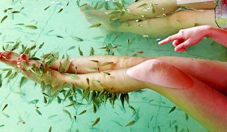 温泉奇遇:福原爱孕检惊现不适,硫磺异味成疑云 温泉奇遇:福原爱孕检惊现不适,硫磺异味成疑云