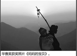 摄影大赛一等奖作品引AI疑云 官方核查中揭秘新进展