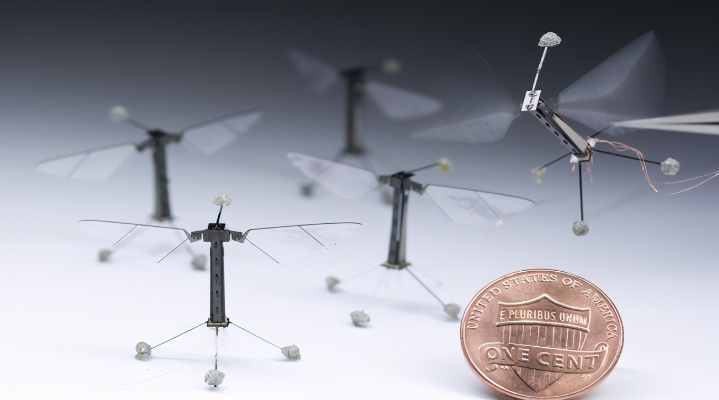 全球最小自主机器人诞生:盐粒大小,仅需一美分打造! 全球最小自主机器人诞生:盐粒大小,仅需一美分打造!