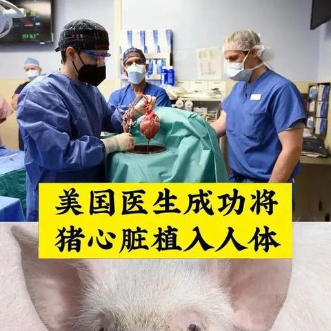 《最终幻想7》开发惊悚BUG：揭秘心脏边缘的惊魂时刻！