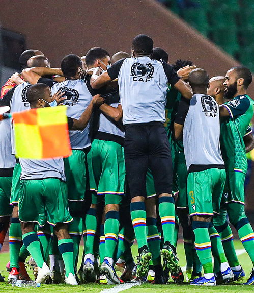 非洲杯耻辱出局，加蓬政府痛下决心解散国家队，队长被开除，重塑足球荣耀刻不容缓