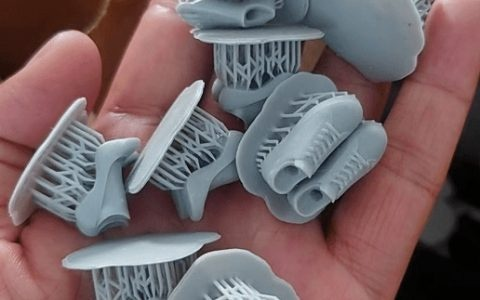 模型玩家去世,母亲继承遗志开创新事业 模型玩家去世,母亲继承遗志开创新事业