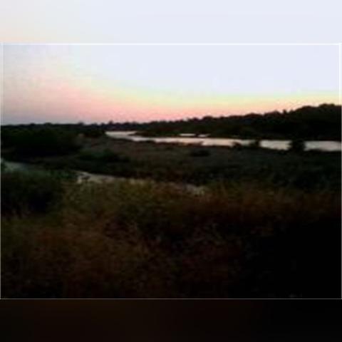 幽暗森林新秘境：探险者必至的神秘领域