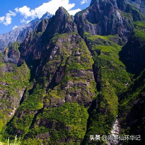 幽暗森林新秘境：探险者必至的神秘领域