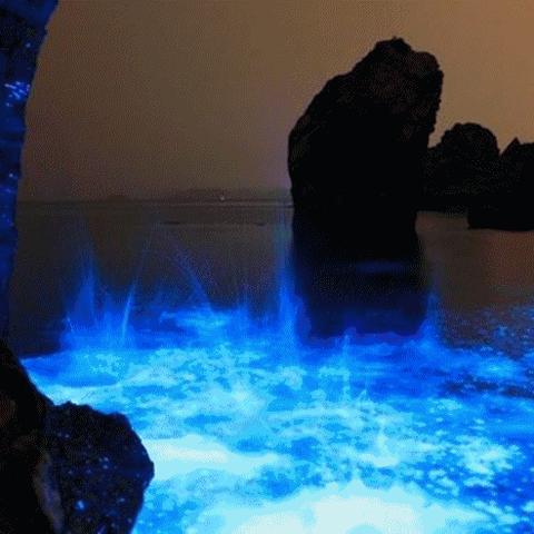 星星海玩家都在找的隐藏机制，为什么老玩家说这才是版本答案？