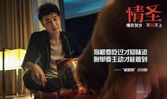 《情圣3》崩盘揭秘：高分佳作如何沦为烂片？