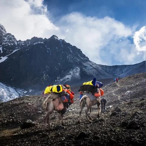 《零红蝶:重制版》角色深度解析,探寻神秘新价值 《零红蝶:重制版》角色深度解析,探寻神秘新价值