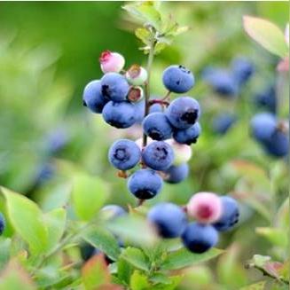 PS5独占大作流失两员,转机将至惊喜连连 PS5独占大作流失两员,转机将至惊喜连连