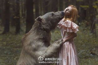 獾院玩家藏了三年的生存玄学，为什么我们从不当工具人？