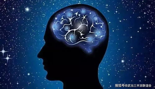 十年“垃圾”动画如何激发B站网友智慧火花，重塑大脑潜能？