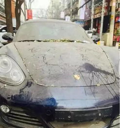 保时捷中心关店真相：3月底全面停业，售后何去何从？