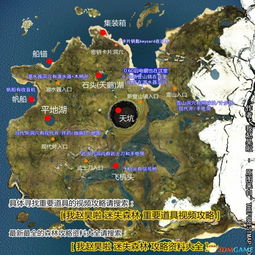 森林地图藏了多少玩家没发现的生存密码？老玩家实测300小时的隐藏逻辑