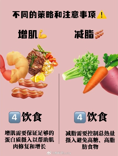 天冷脂肪合成快4倍？玩家必看的冬季囤肉避坑&战力保持实战攻略