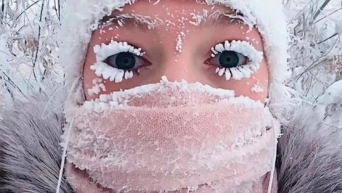 零下20度哈尔滨,外国游客短裤抗寒奇观揭秘! 零下20度哈尔滨,外国游客短裤抗寒奇观揭秘!