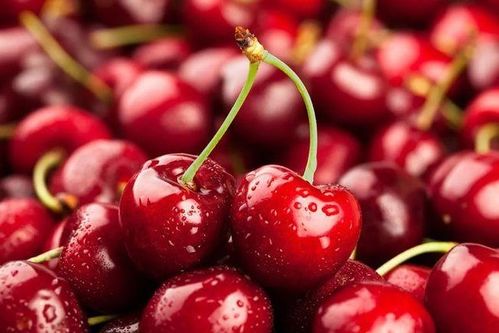 合肥车厘子价格狂跌,日销15吨,揭秘惊人销量秘诀! 合肥车厘子价格狂跌,日销15吨,揭秘惊人销量秘诀!