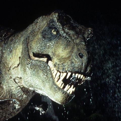 马斯克急售比特币，游戏玩家的加密皮肤资产要凉？3个实战保命技巧