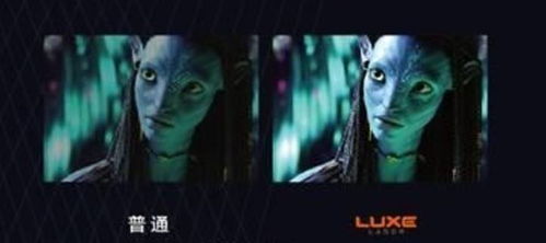 浴血怨灵惊现《零红蝶RE》，全新角色颠覆视觉体验