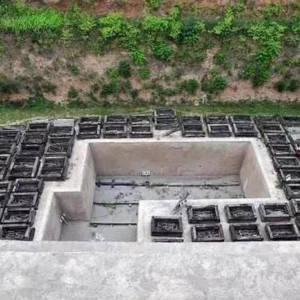 角色同化大揭秘：重塑《控制》全新体验