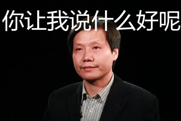 雷军怒斥“营销大师”标签：恶心二字何其刺耳