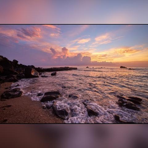 《寄生种》惊悚试玩DEMO:揭秘未知生存秘境 《寄生种》惊悚试玩DEMO:揭秘未知生存秘境