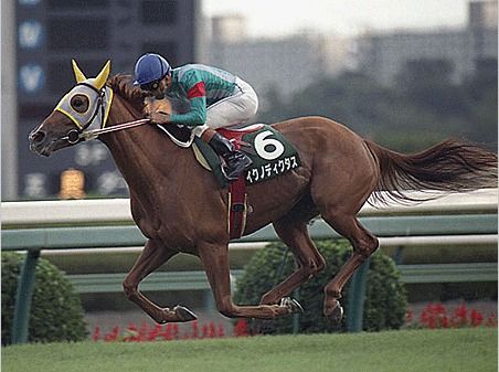 《赛马娘》玩偶疑现人耳事件，官方紧急致歉并推出全新补偿方案